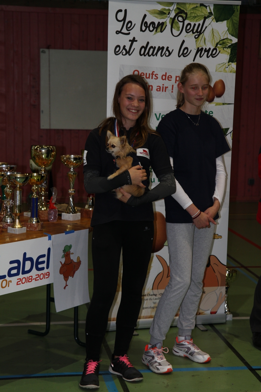 Tir en salle Handisport, Sport adapté du 28 octobre et Qualificatif FFTA du 29 octobre.