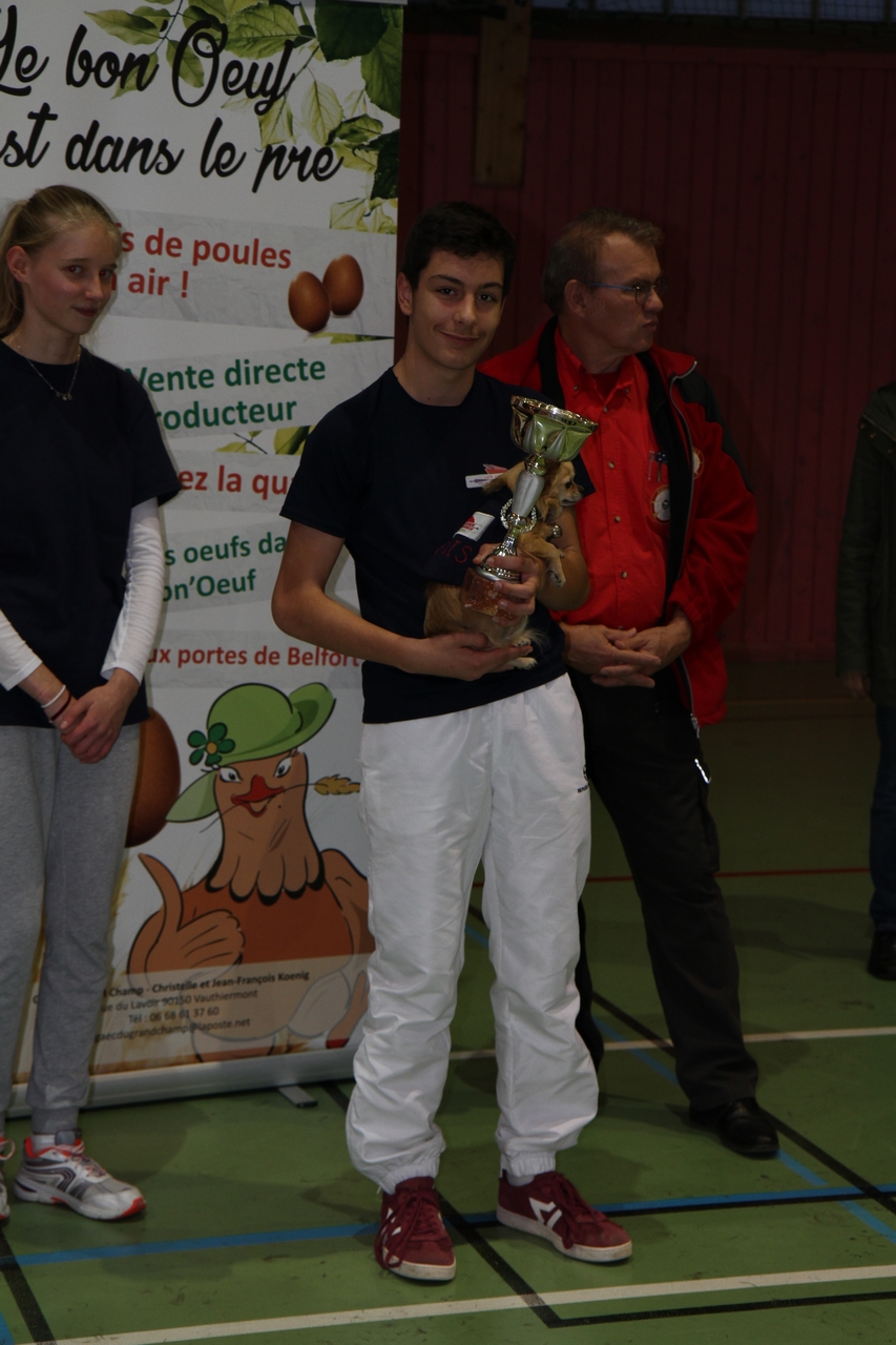 Tir en salle Handisport, Sport adapté du 28 octobre et Qualificatif FFTA du 29 octobre.