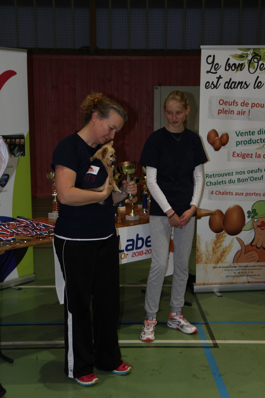 Tir en salle Handisport, Sport adapté du 28 octobre et Qualificatif FFTA du 29 octobre.