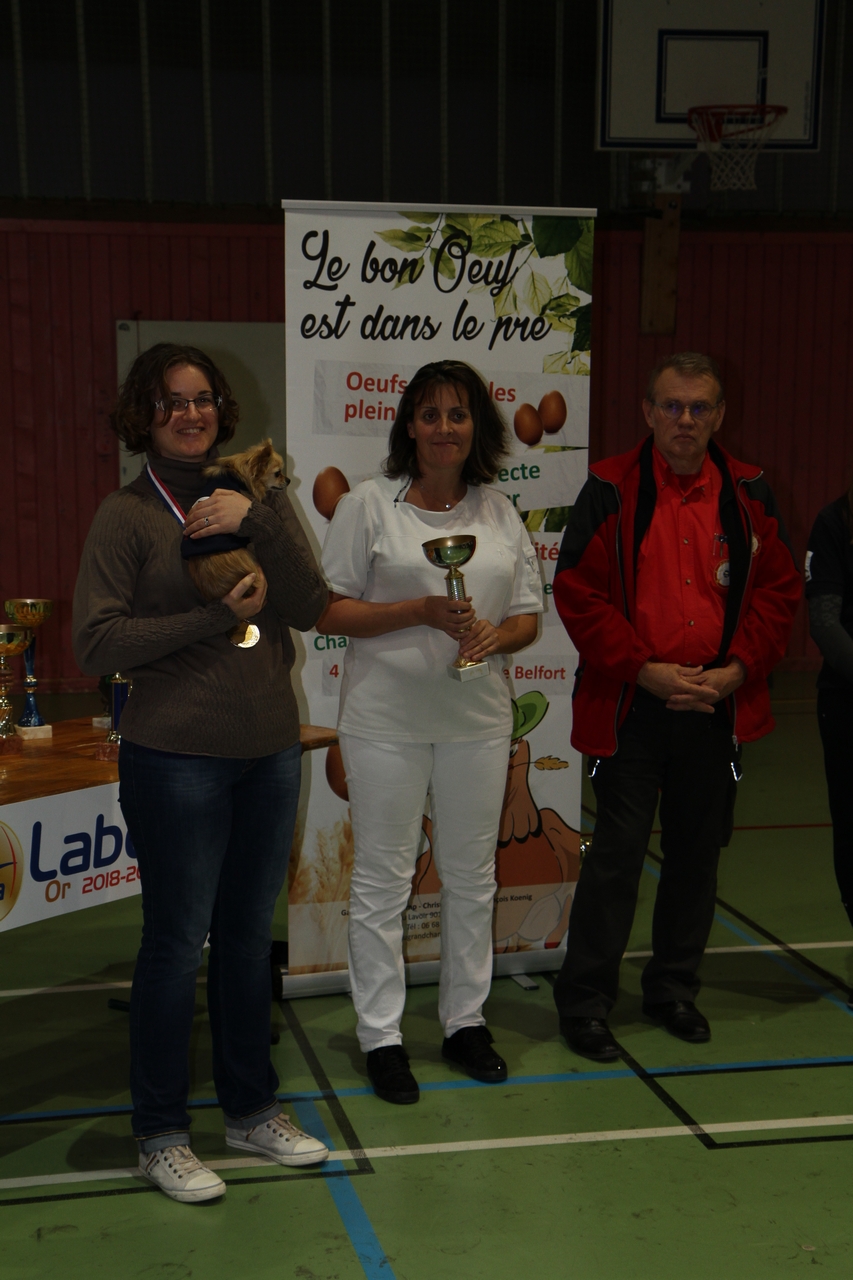 Tir en salle Handisport, Sport adapté du 28 octobre et Qualificatif FFTA du 29 octobre.