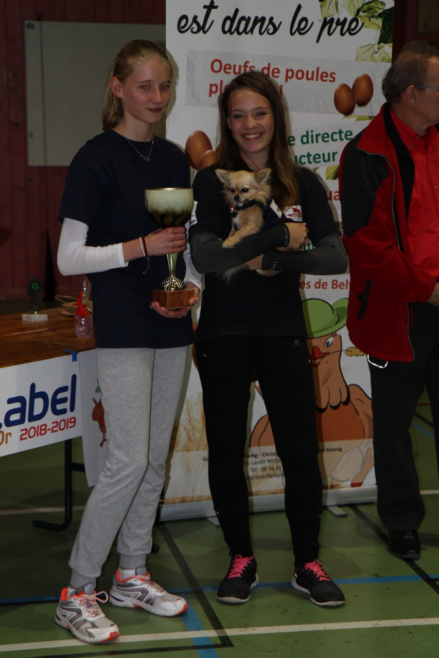 Tir en salle Handisport, Sport adapté du 28 octobre et Qualificatif FFTA du 29 octobre.